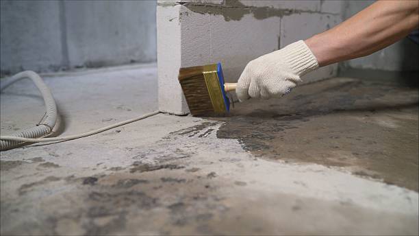 SJ Waterproofing Pros Waterproofing coverage map for Neshkoro, WI and surrounding area